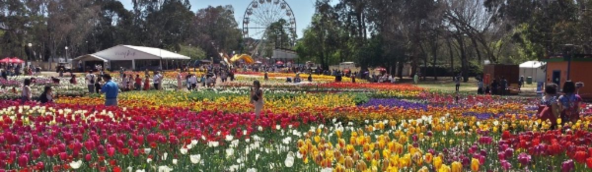 10-year anniversary as Floriade Major Delivery Partner